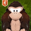 Gorilla Workout Lite : 限られた予算での競技体力作り