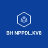 BH NPPDL.KV8