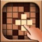Icon Sudoblock Puzzle