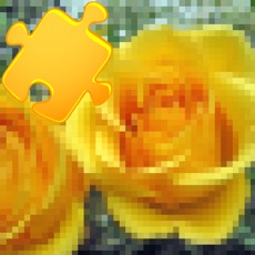 Activities of Amazing Photo Puzzles