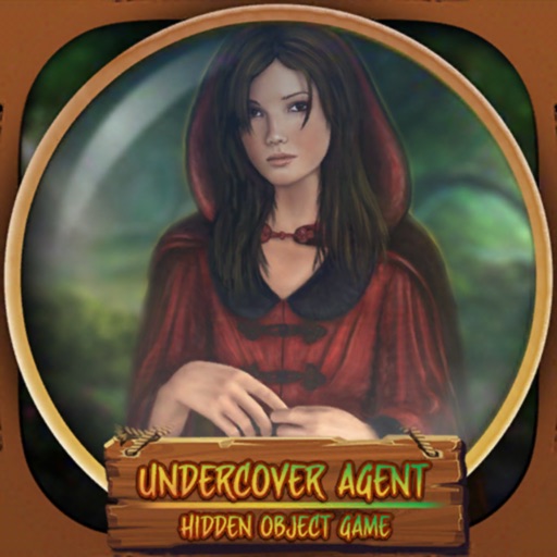 Undercover Agent Hidden Object