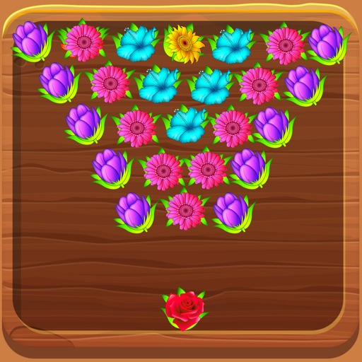 Flower Bloom Boom iOS App