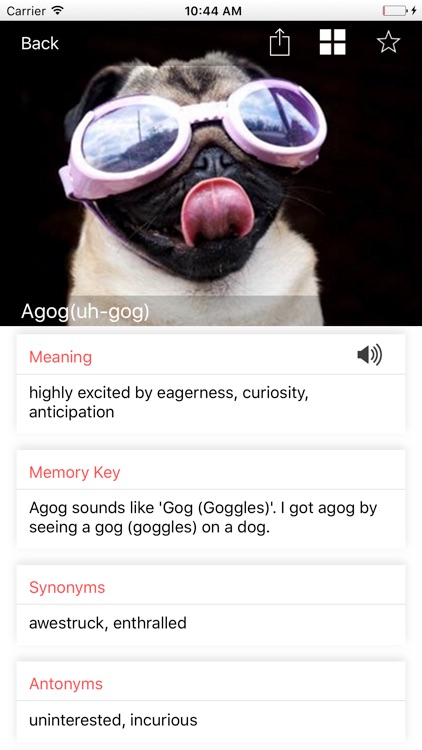 VoLT - Vocabulary Learning