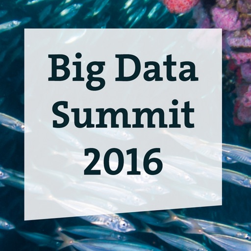 Big Data Summit 2016