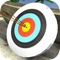 Master Archery Paradise 3D