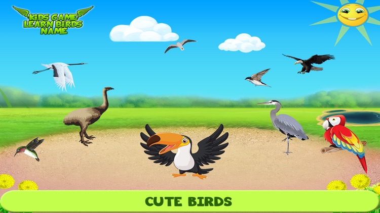 Kids Game Learn Birds Name