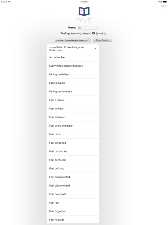 Owning-Truth screenshot-3