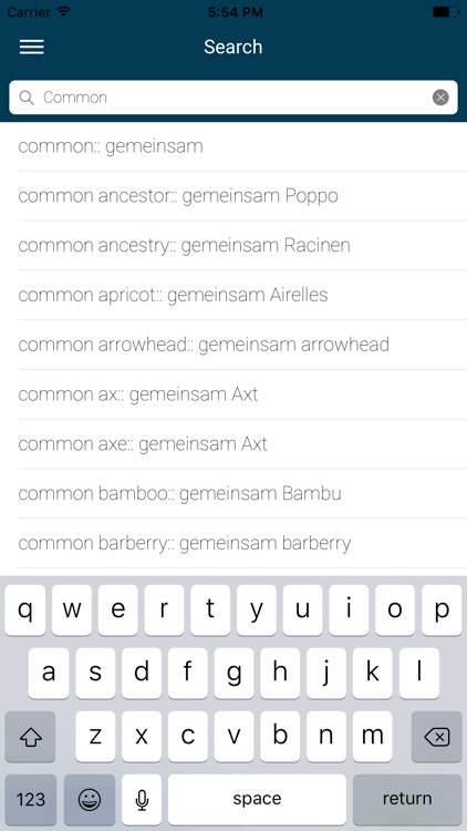 English : Spanish Dictionary screenshot-4