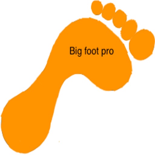 Big foot pro