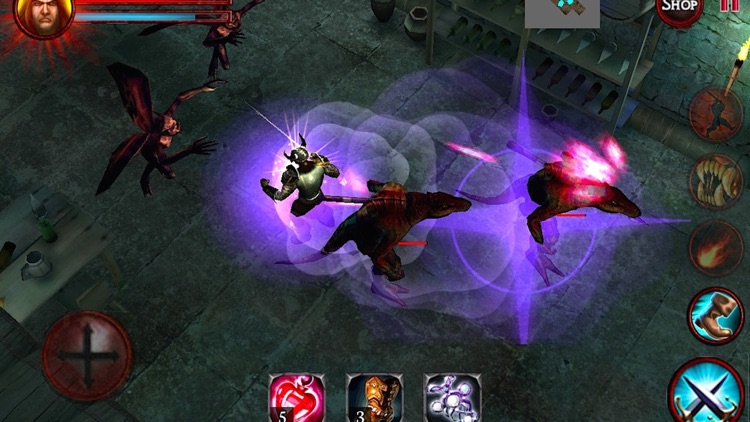 Demons & Dungeons - Action RPG screenshot-3