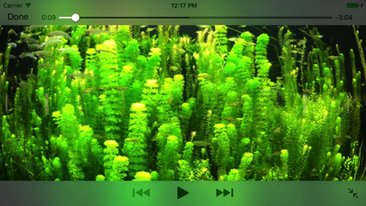 Aquarium Videos 4K screenshot1