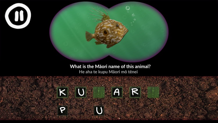 He Kīrehe Māori / Native Animals screenshot-4