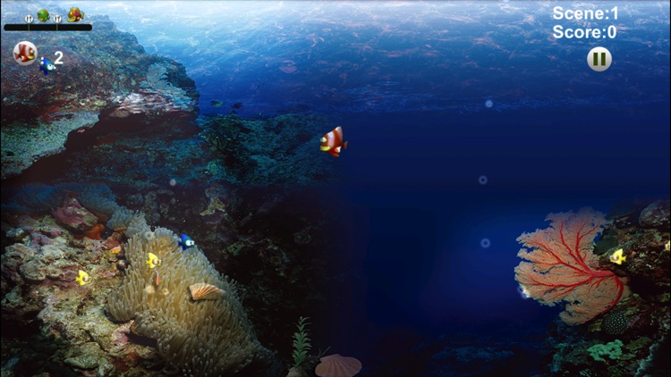 Feeding Frenzy HD