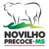 Novilho Precoce MS