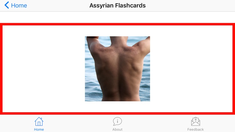 Assyrian Flashcards screenshot-3