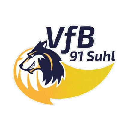 VfB Suhl LOTTO Thüringen Читы