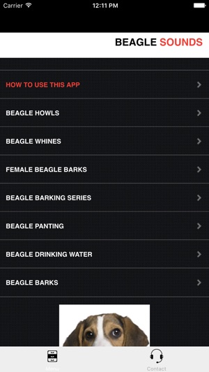 Beagle Sounds & Dog Barking(圖2)-速報App