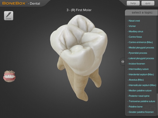 BoneBox™ - Dental Pro(圖2)-速報App