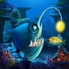 King Fish 3D