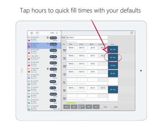 Timesheet PDF screenshot 2