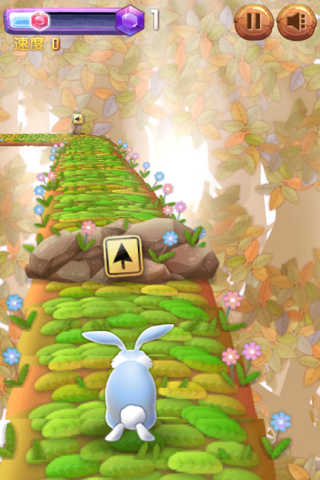 Rabbit Run Run Run! screenshot 3