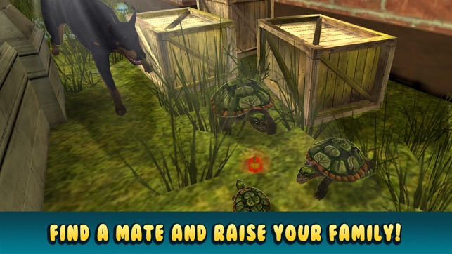 Turtle Simulator: House Pet Life(圖3)-速報App