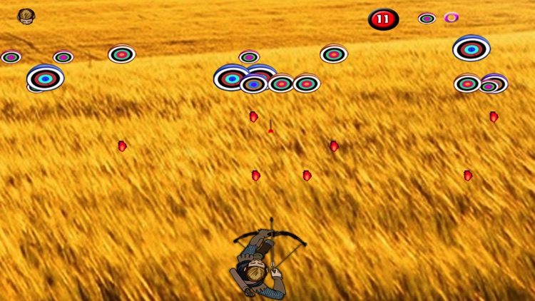 Archery Colors PRO : Shooting Games screenshot-3