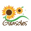 Conjunto Girasoles