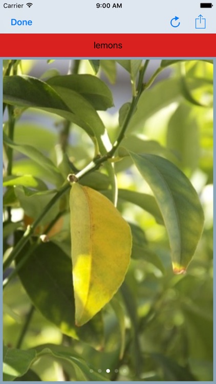 MediaNotes - the notes evolution