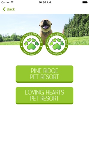 Pine Ridge-Loving Hearts PR.(圖2)-速報App