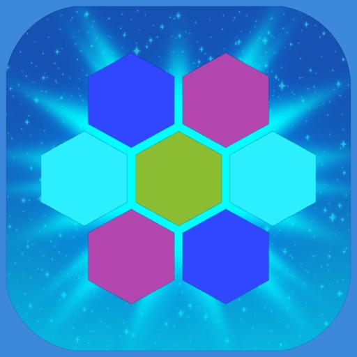 Hexagon Brickz Mix - Super Hex Puzzle