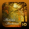 Icon Autumn Ambience HD