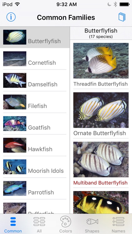 Snorkel Fish Hawaii for iPhone