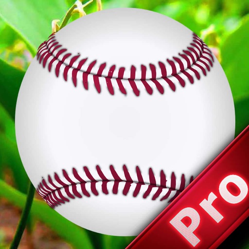 A Derby Quick Ball Pro - Baseball Magic Sport icon