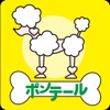 福島　南相馬市　ドックサロン　ポンテール　公式アプリ