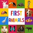 Top 50 Education Apps Like First Words for Baby: Animals - Best Alternatives