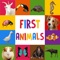 Do you want to introduce animals to your toddler, kid or baby