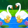 Best Escape Game - Swan Couple
