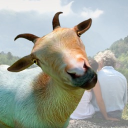 Goat stickers - photo editor goat stickers