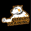 Pitbull Training