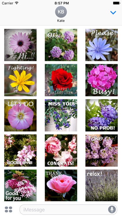 Flower Words - Text Message Stickers Pack 2