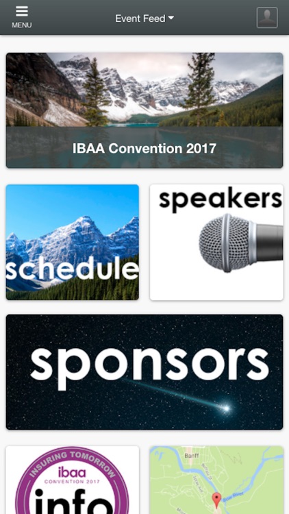 IBAA2017