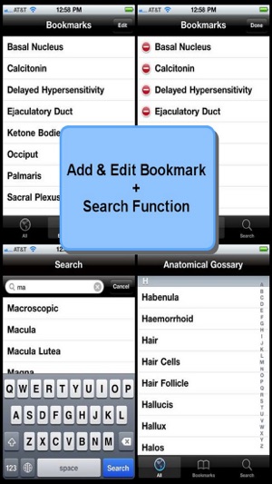 Anatomical Glossary(圖3)-速報App