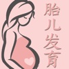 胎儿发育知识 - 孕妇的必备知识