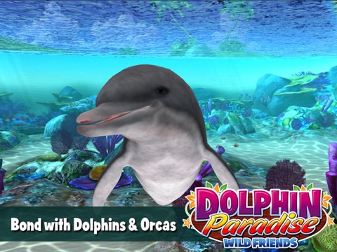 Dolphin Paradise: Wild Friends на iPad