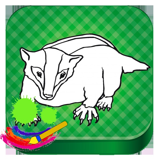 Badger Animals Drawing Game For Kids Icon