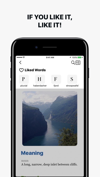 LookUp: An elegant dictionary screenshot-4