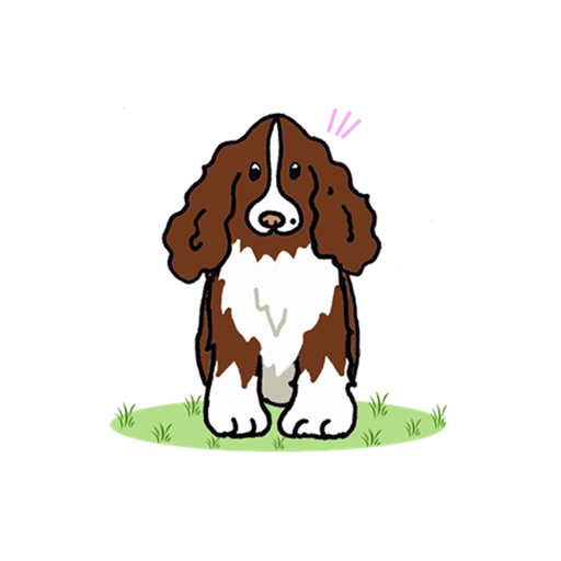 English Springer Spaniel - Dog Sticker Pack icon