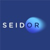 Seidor Parking