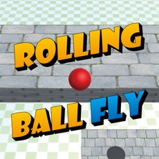 Activities of Rolling Ball Fly